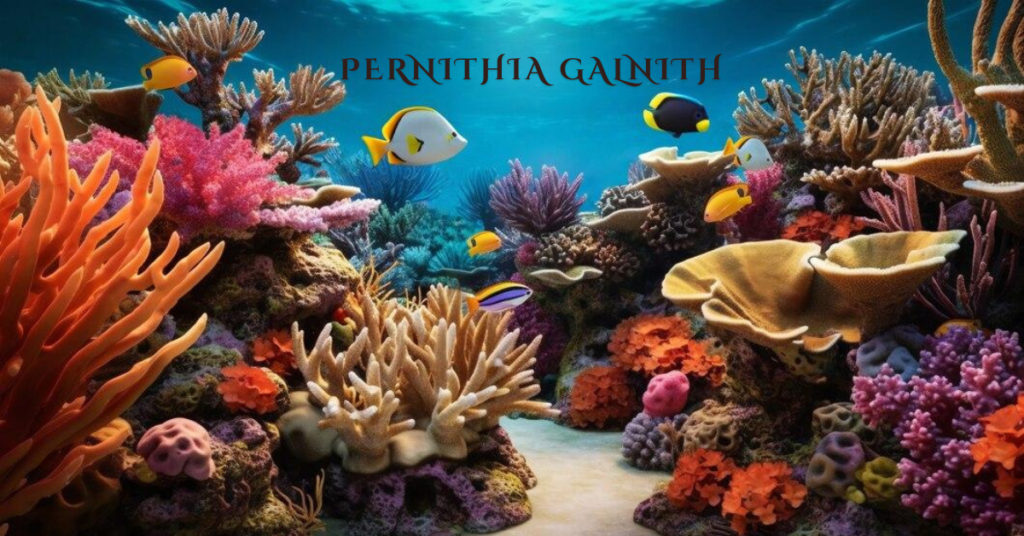 pernithia galnith